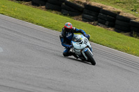 PJ-Motorsport-2019;anglesey-no-limits-trackday;anglesey-photographs;anglesey-trackday-photographs;enduro-digital-images;event-digital-images;eventdigitalimages;no-limits-trackdays;peter-wileman-photography;racing-digital-images;trac-mon;trackday-digital-images;trackday-photos;ty-croes
